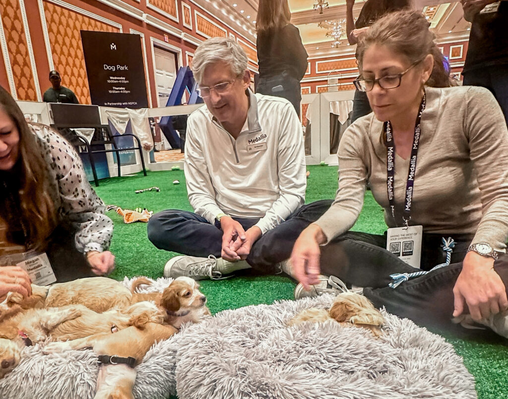 Three people sit on artificial grass, smiling and petting several small puppies lying on soft grey dog beds. The indoor setting features orange patterned walls and event signage.